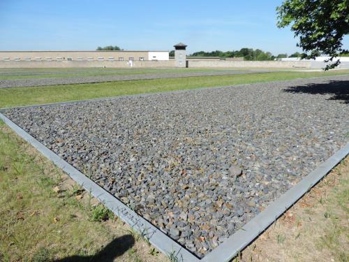 post-1939-0-03558100-1402934985_thumb.jp