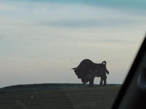 post-1939-0-42141600-1402759528_thumb.jp