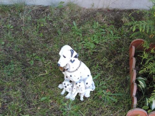 post-1939-0-60048700-1402848120_thumb.jp