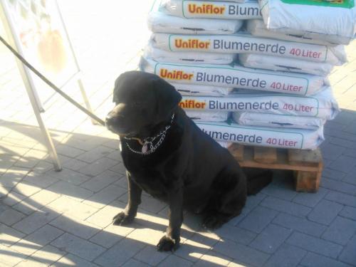 post-1939-0-89527000-1402847477_thumb.jp