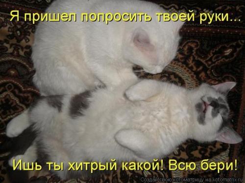 post-2490-0-51720300-1402044041_thumb.jp