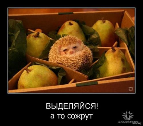 post-4696-0-11611100-1403437950_thumb.jp