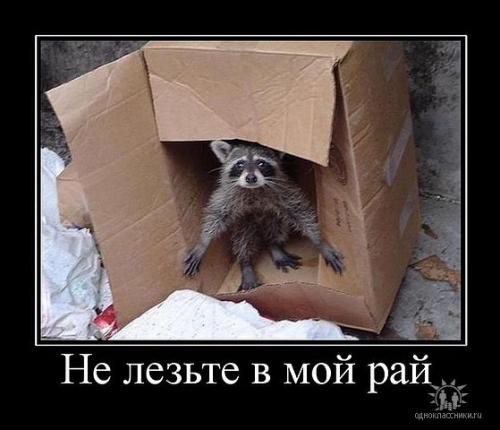 post-4696-0-37004900-1403437830_thumb.jp