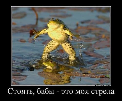 post-4696-0-37474900-1403437930_thumb.jp