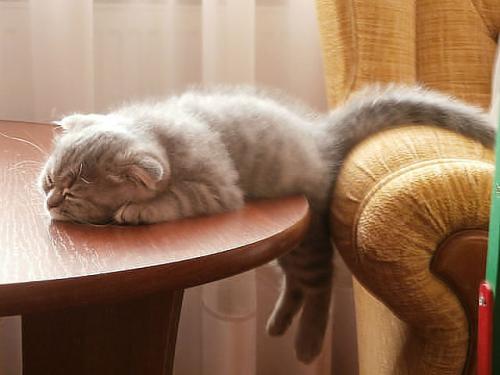 post-4696-0-62908800-1403437867_thumb.jp