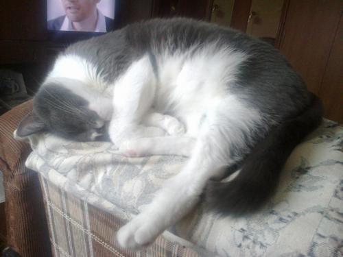 post-4696-0-69812100-1401867727_thumb.jp