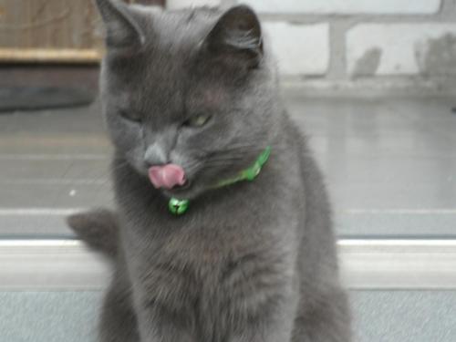 post-1370-0-34274200-1373008860_thumb.jp