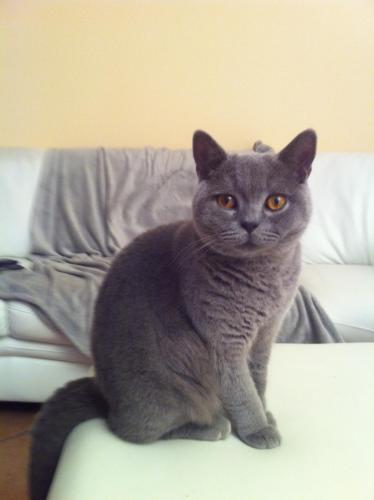 post-1942-0-25819900-1373185196_thumb.jp