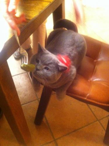 post-1942-0-26381300-1372871304_thumb.jp