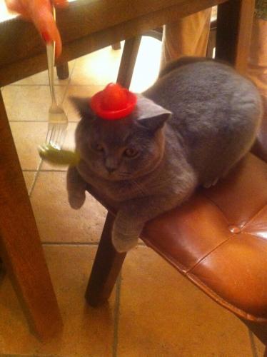 post-1942-0-40634700-1372871054_thumb.jp