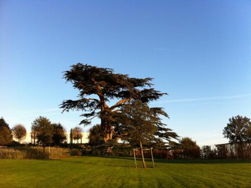 post-1942-0-57191800-1375006550_thumb.jp