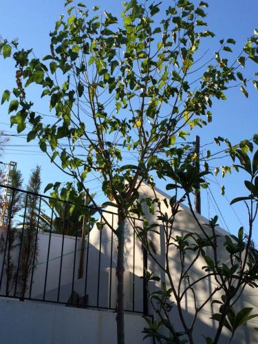 post-1832-0-17983600-1404805051_thumb.jp