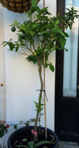 post-1832-0-18971500-1404804930_thumb.jp