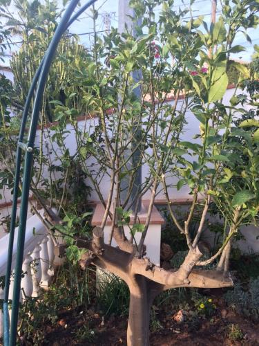 post-1832-0-22873900-1404393533_thumb.jp