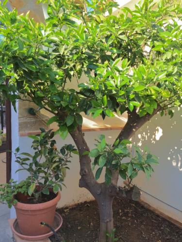 post-1832-0-54165700-1404805015_thumb.jp