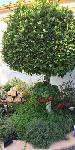 post-1832-0-62532200-1404805216_thumb.jp