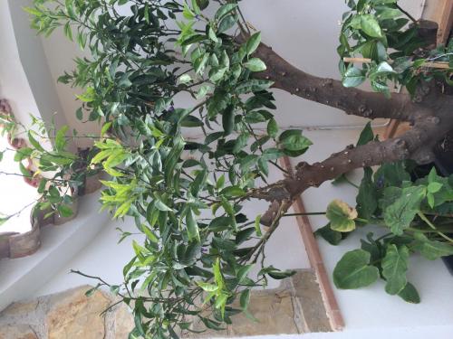 post-1832-0-71536000-1404393695_thumb.jp