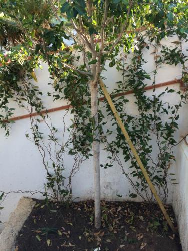 post-1832-0-77904200-1404805169_thumb.jp