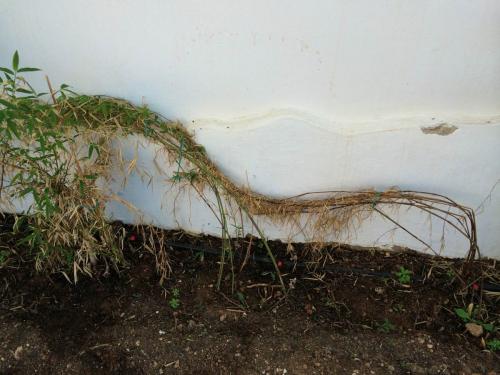 post-1832-0-91021100-1404805130_thumb.jp