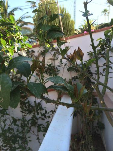 post-1832-0-97192300-1404804895_thumb.jp