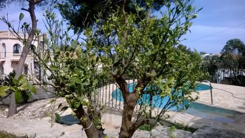 post-1921-0-46878600-1404394162_thumb.jp