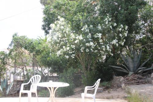 post-1921-0-58098800-1405653796_thumb.jp