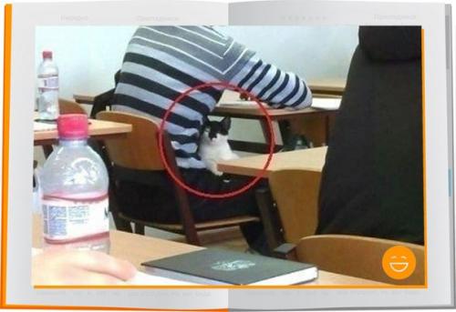 post-2490-0-12259100-1405352855_thumb.jp