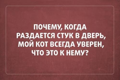 post-2490-0-30397600-1405076496_thumb.jp