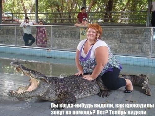 post-2490-0-47350800-1404392124_thumb.jp