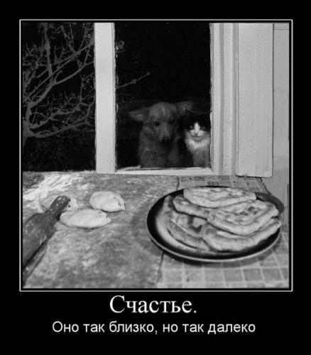 post-2490-0-78068800-1405687962_thumb.jp