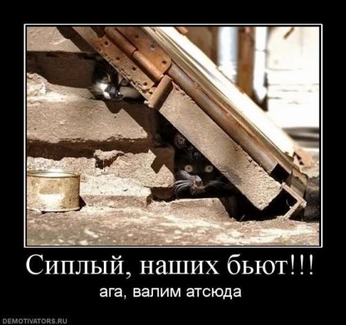 post-770-0-04095500-1345801437_thumb.jpe