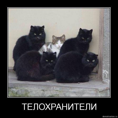 post-770-0-66074000-1345801452_thumb.jpe