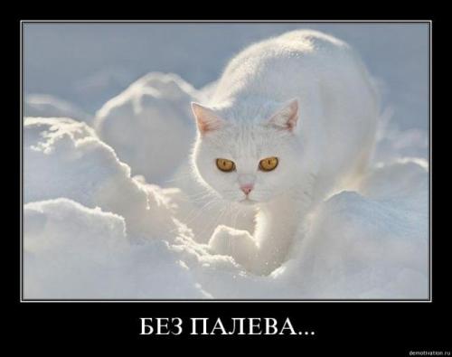 post-770-0-70119300-1345801453_thumb.jpe