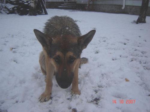 post-1131-0-62396300-1376928282_thumb.jp