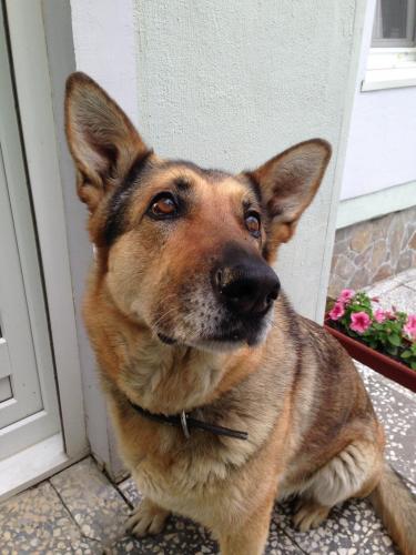 post-1145-0-29050800-1376937511_thumb.jp