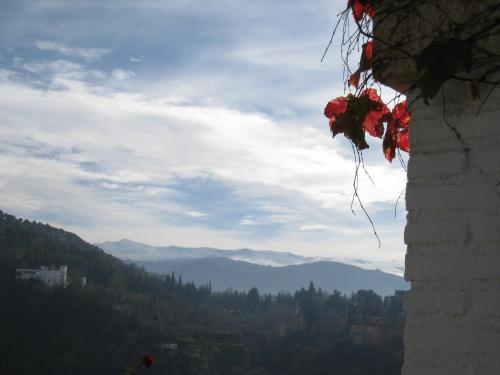 post-1189-0-52753300-1377338590_thumb.jp