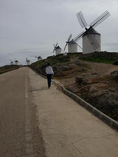 post-1217-0-02700500-1377818032_thumb.jp