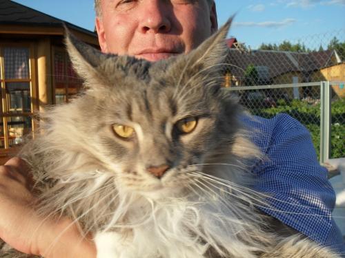 post-1276-0-72411200-1376935739_thumb.jp