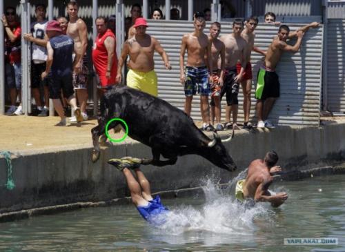 post-1286-0-63502400-1377530559_thumb.jp