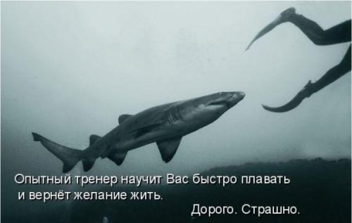 post-1535-0-30801000-1375723598_thumb.jp