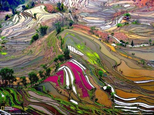 post-1535-0-74759900-1376912820_thumb.jp