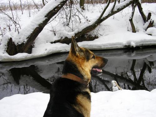 post-1816-0-67496000-1376385617_thumb.jp