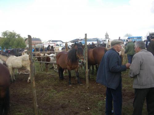 post-1195-0-01932900-1407773492_thumb.jp