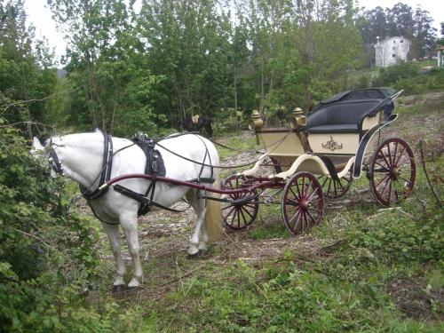 post-1195-0-11584500-1407773544_thumb.jp