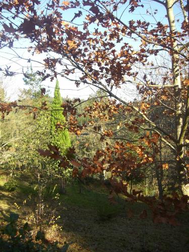 post-1195-0-17364900-1408031465_thumb.jp