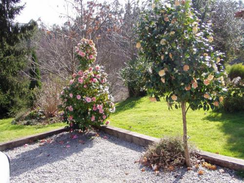 post-1195-0-24815900-1407782947_thumb.jp