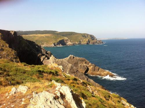 post-1195-0-29355400-1407771134_thumb.jp