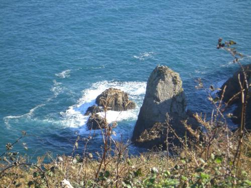 post-1195-0-40855600-1407782894_thumb.jp