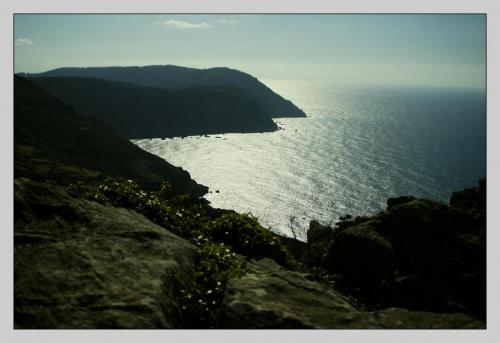 post-1195-0-43276500-1407770788_thumb.jp