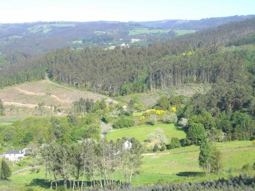 post-1195-0-53649500-1407772312_thumb.jp